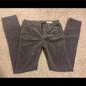 Chor grey bootcut corduroy pants